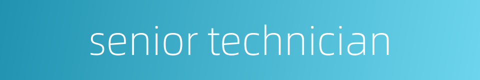 senior technician的同义词