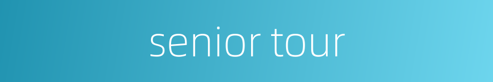 senior tour的同义词
