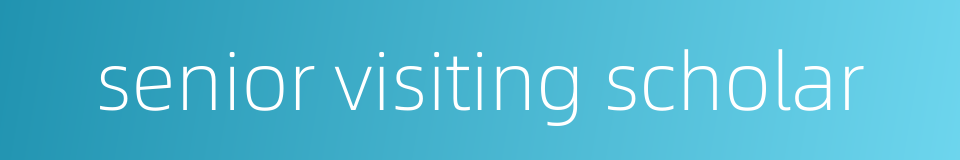 senior visiting scholar的同义词