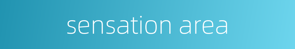 sensation area的同义词