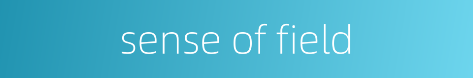 sense of field的同义词