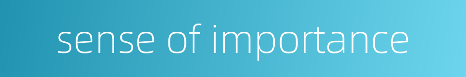 sense of importance的同义词
