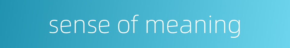 sense of meaning的同义词