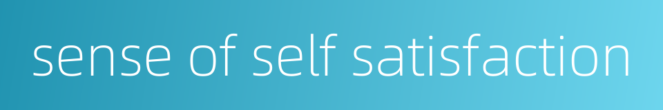 sense of self satisfaction的同义词