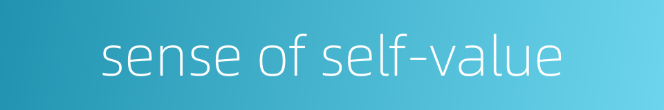 sense of self-value的同义词