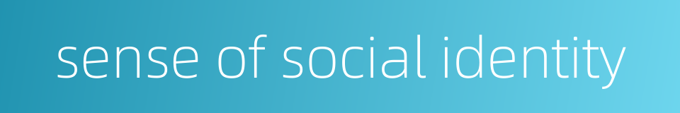 sense of social identity的同义词