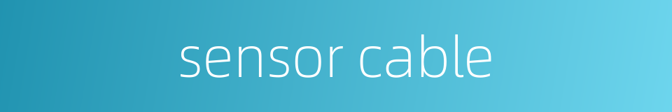 sensor cable的同义词