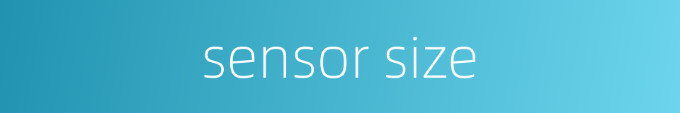 sensor size的同义词