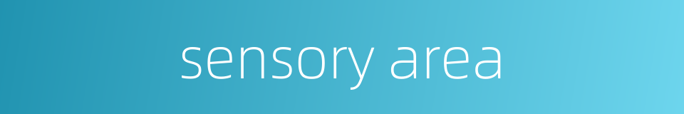 sensory area的同义词