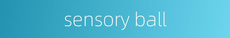 sensory ball的同义词