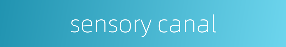 sensory canal的同义词