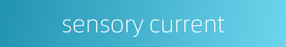 sensory current的同义词