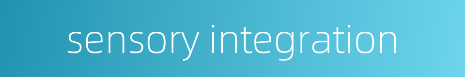 sensory integration的同义词