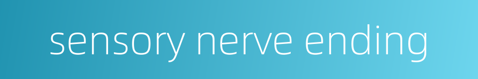 sensory nerve ending的同义词