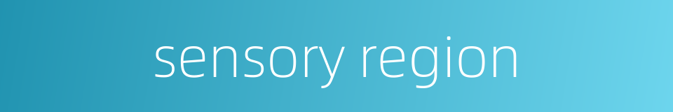 sensory region的同义词