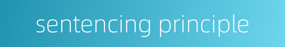 sentencing principle的同义词