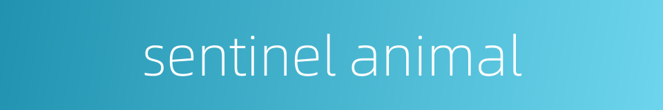 sentinel animal的同义词