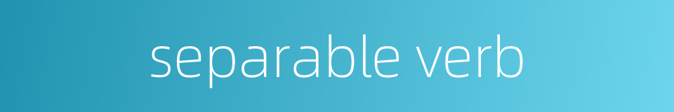 separable verb的同义词