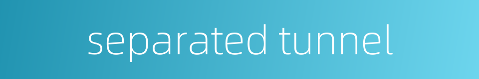 separated tunnel的同义词