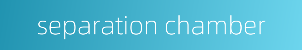 separation chamber的同义词