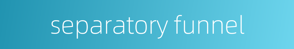 separatory funnel的同义词