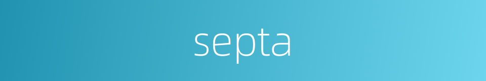 septa的同义词