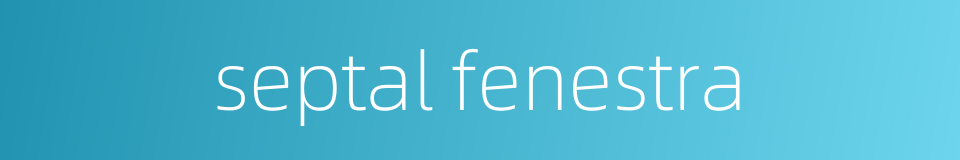septal fenestra的同义词