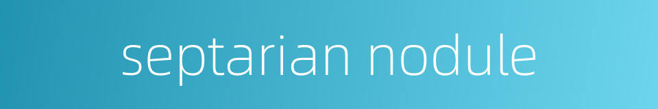 septarian nodule的同义词