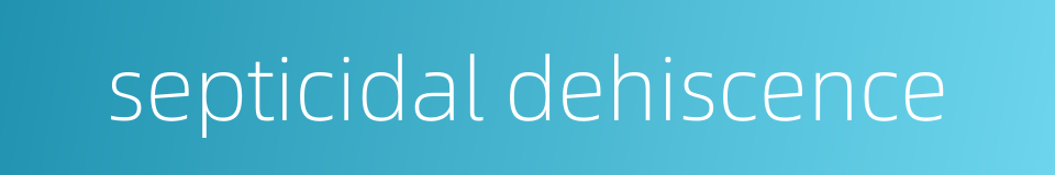 septicidal dehiscence的同义词