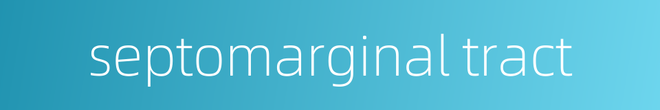 septomarginal tract的同义词