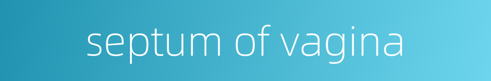 septum of vagina的同义词