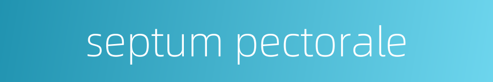 septum pectorale的同义词