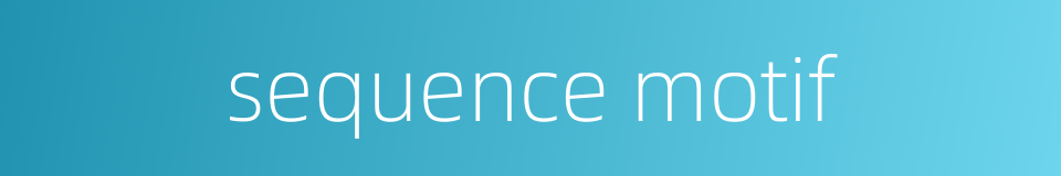 sequence motif的同义词