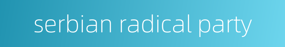 serbian radical party的同义词