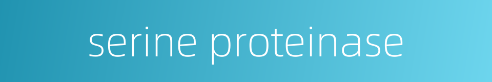 serine proteinase的同义词