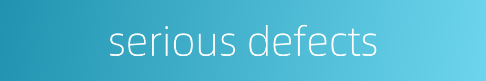 serious defects的同义词