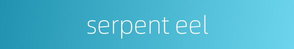 serpent eel的同义词