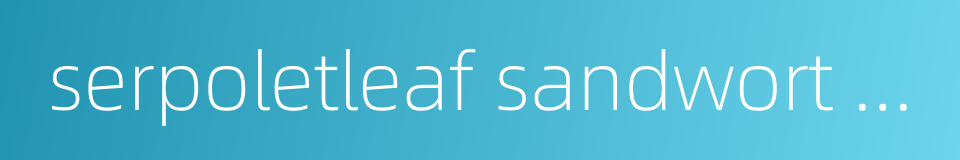 serpoletleaf sandwort herb的同义词