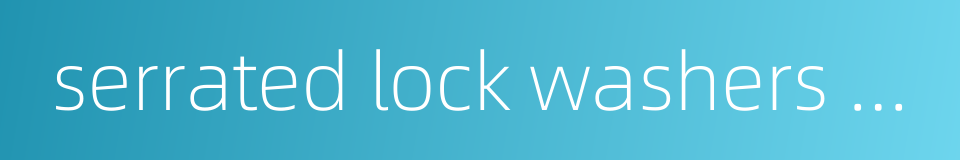 serrated lock washers exteral teeth的同义词