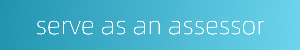 serve as an assessor的同义词