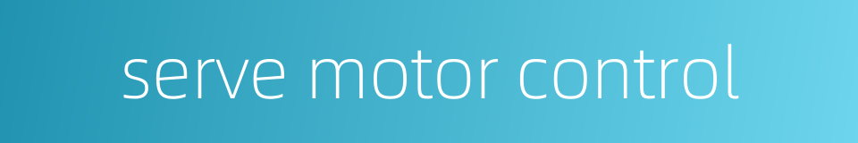 serve motor control的同义词