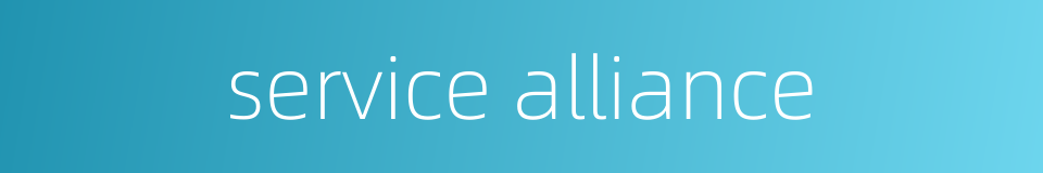 service alliance的同义词