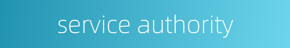 service authority的同义词