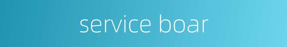 service boar的同义词