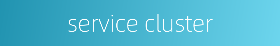 service cluster的同义词