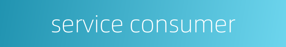 service consumer的同义词