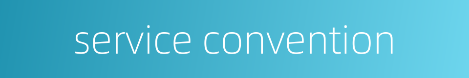 service convention的同义词