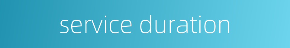 service duration的同义词