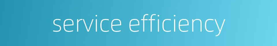 service efficiency的同义词