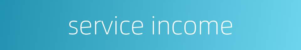service income的同义词